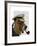 Basset Hound Sea Dog-Fab Funky-Framed Art Print