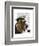 Basset Hound Sea Dog-Fab Funky-Framed Art Print