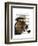 Basset Hound Sea Dog-Fab Funky-Framed Art Print