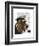 Basset Hound Sea Dog-Fab Funky-Framed Art Print