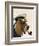 Basset Hound Sea Dog-Fab Funky-Framed Art Print