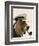 Basset Hound Sea Dog-Fab Funky-Framed Art Print