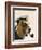 Basset Hound Sea Dog-Fab Funky-Framed Art Print