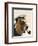 Basset Hound Sea Dog-Fab Funky-Framed Art Print