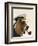 Basset Hound Sea Dog-Fab Funky-Framed Art Print