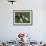 Basset Hound, USA-Lynn M. Stone-Framed Photographic Print displayed on a wall