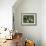 Basset Hound, USA-Lynn M. Stone-Framed Photographic Print displayed on a wall