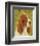 Basset Hound-John W^ Golden-Framed Art Print