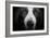 Basset Hound-Lori Hutchison-Framed Photographic Print