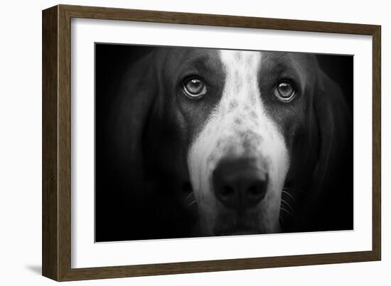 Basset Hound-Lori Hutchison-Framed Photographic Print