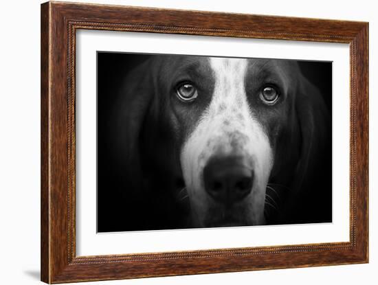 Basset Hound-Lori Hutchison-Framed Photographic Print