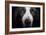 Basset Hound-Lori Hutchison-Framed Photographic Print