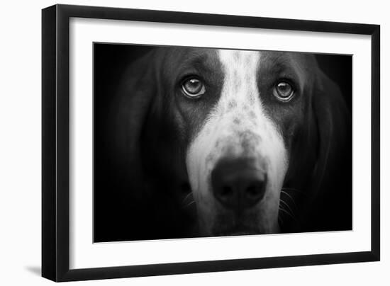 Basset Hound-Lori Hutchison-Framed Photographic Print