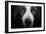 Basset Hound-Lori Hutchison-Framed Photographic Print