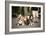Basset Hounds In Portland, Oregon-Justin Bailie-Framed Photographic Print