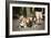 Basset Hounds In Portland, Oregon-Justin Bailie-Framed Photographic Print