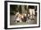 Basset Hounds In Portland, Oregon-Justin Bailie-Framed Photographic Print