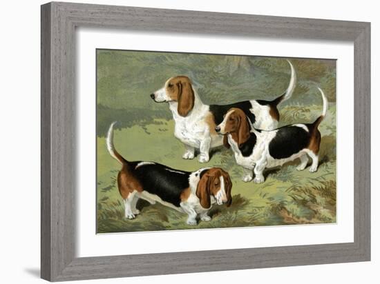 Basset Hounds-Vero Shaw-Framed Art Print