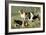 Basset Hounds-Vero Shaw-Framed Art Print