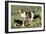 Basset Hounds-Vero Shaw-Framed Art Print