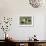 Basset Hounds-Vero Shaw-Framed Art Print displayed on a wall