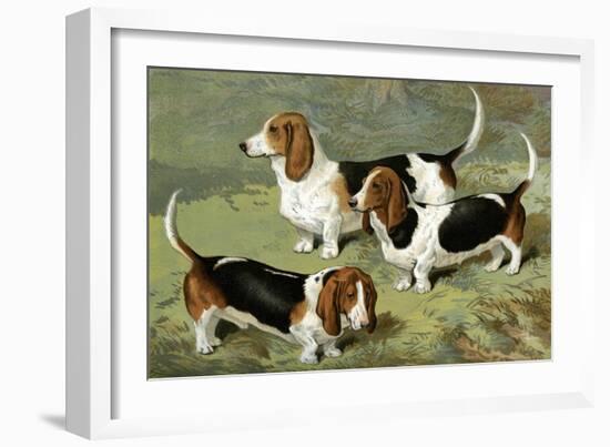 Basset Hounds-Vero Shaw-Framed Art Print