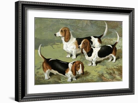 Basset Hounds-Vero Shaw-Framed Art Print