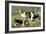 Basset Hounds-Vero Shaw-Framed Art Print