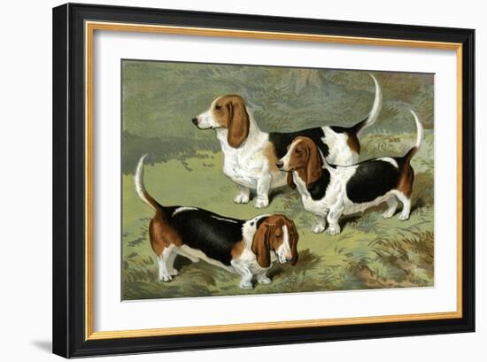 Basset Hounds-Vero Shaw-Framed Art Print