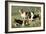 Basset Hounds-Vero Shaw-Framed Art Print