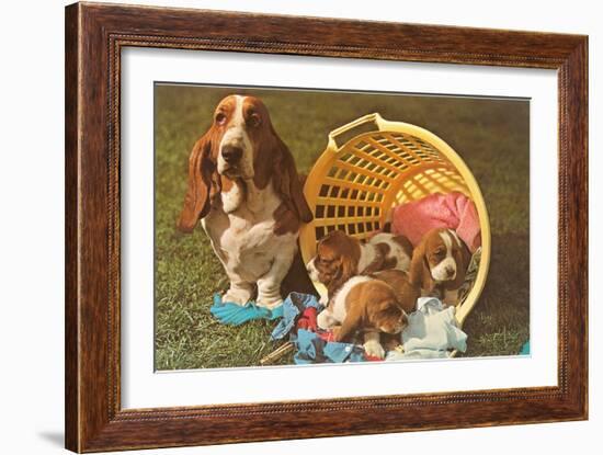 Bassett Hound Family in Laundry Basket-null-Framed Art Print