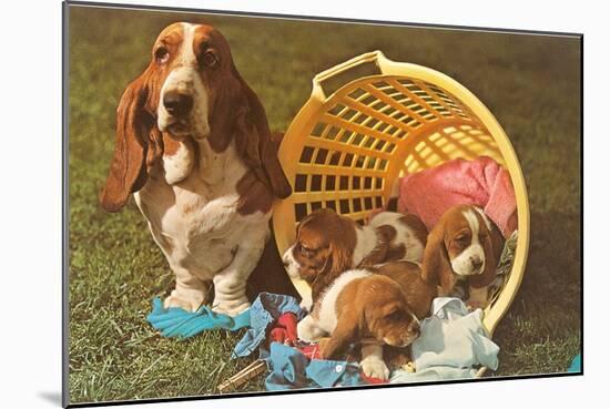 Bassett Hound Family in Laundry Basket-null-Mounted Art Print