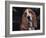 Bassett Hound Portrait, USA-Lynn M^ Stone-Framed Photographic Print