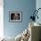 Bassett Hound Portrait, USA-Lynn M^ Stone-Framed Photographic Print displayed on a wall