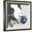 Bassett Hound-Emily Burrowes-Framed Art Print