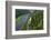 Bastei Rock Formation near Rathen, Saxon Switzerland, Saxony, Germany, Europe-Hans-Peter Merten-Framed Photographic Print