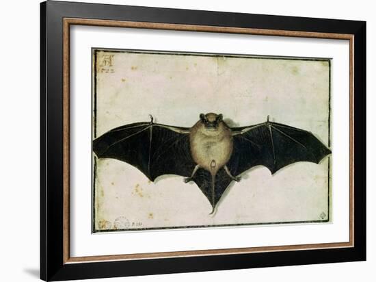 Bat, 1522-Albrecht Dürer-Framed Giclee Print