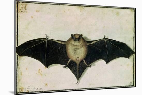 Bat, 1522-Albrecht Dürer-Mounted Giclee Print