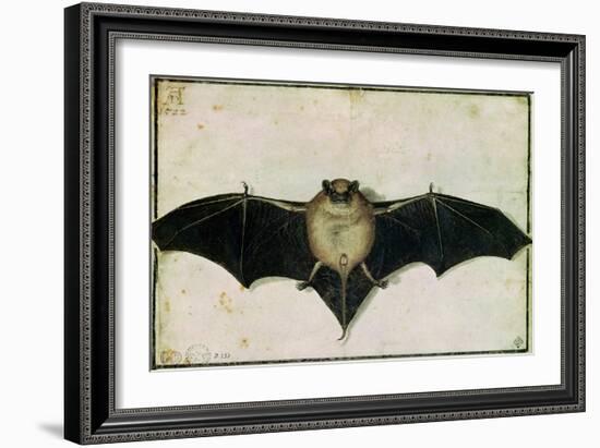 Bat, 1522-Albrecht Dürer-Framed Giclee Print