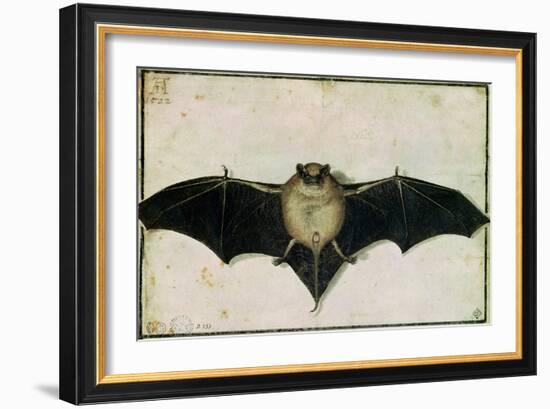 Bat, 1522-Albrecht Dürer-Framed Giclee Print