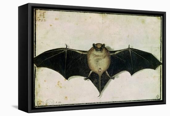 Bat, 1522-Albrecht Dürer-Framed Premier Image Canvas