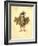 Bat 1873 'Missing Links' Parade Costume Design-Charles Briton-Framed Giclee Print