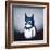 Bat Bear-Luke Chueh-Framed Premium Giclee Print