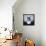 Bat Bear-Luke Chueh-Framed Stretched Canvas displayed on a wall