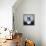 Bat Bear-Luke Chueh-Framed Stretched Canvas displayed on a wall