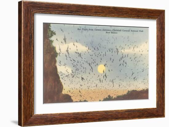 Bat Flight, Carlsbad Caverns, New Mexico-null-Framed Art Print