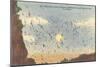 Bat Flight, Carlsbad Caverns, New Mexico-null-Mounted Art Print