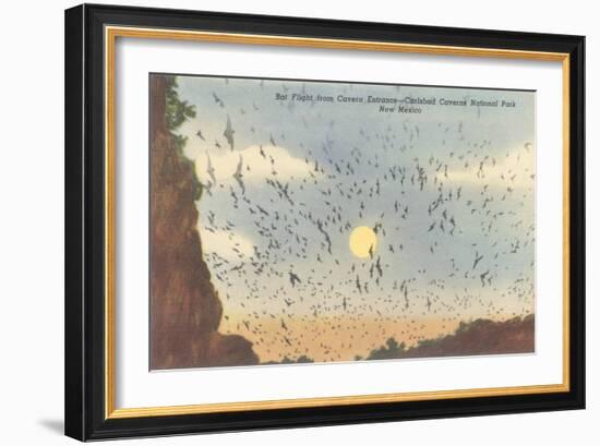 Bat Flight, Carlsbad Caverns, New Mexico-null-Framed Art Print