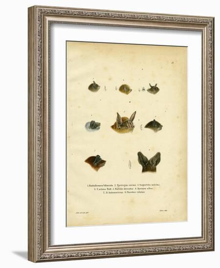 Bat Heads-null-Framed Giclee Print