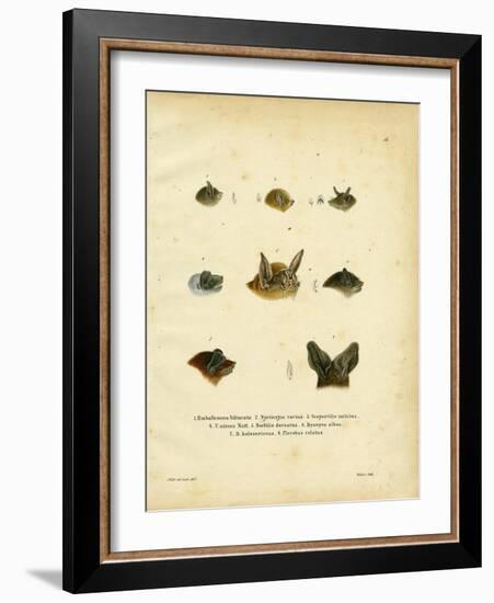 Bat Heads-null-Framed Giclee Print